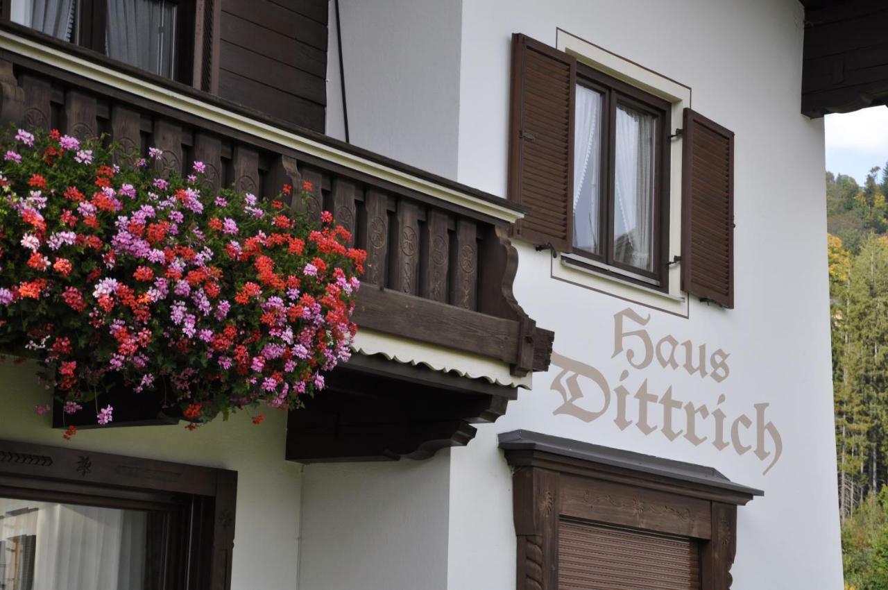 Haus Dittrich Apartment Kirchberg in Tirol Exterior photo